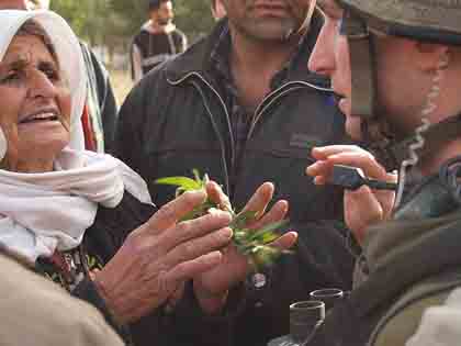Campagne de récolte des olives 2007